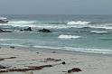 Carmel 10-30-08 247